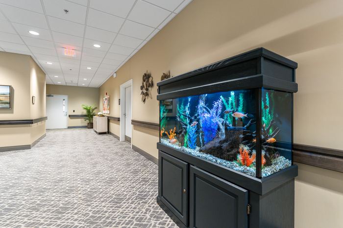 Main building hallway with aquarium
